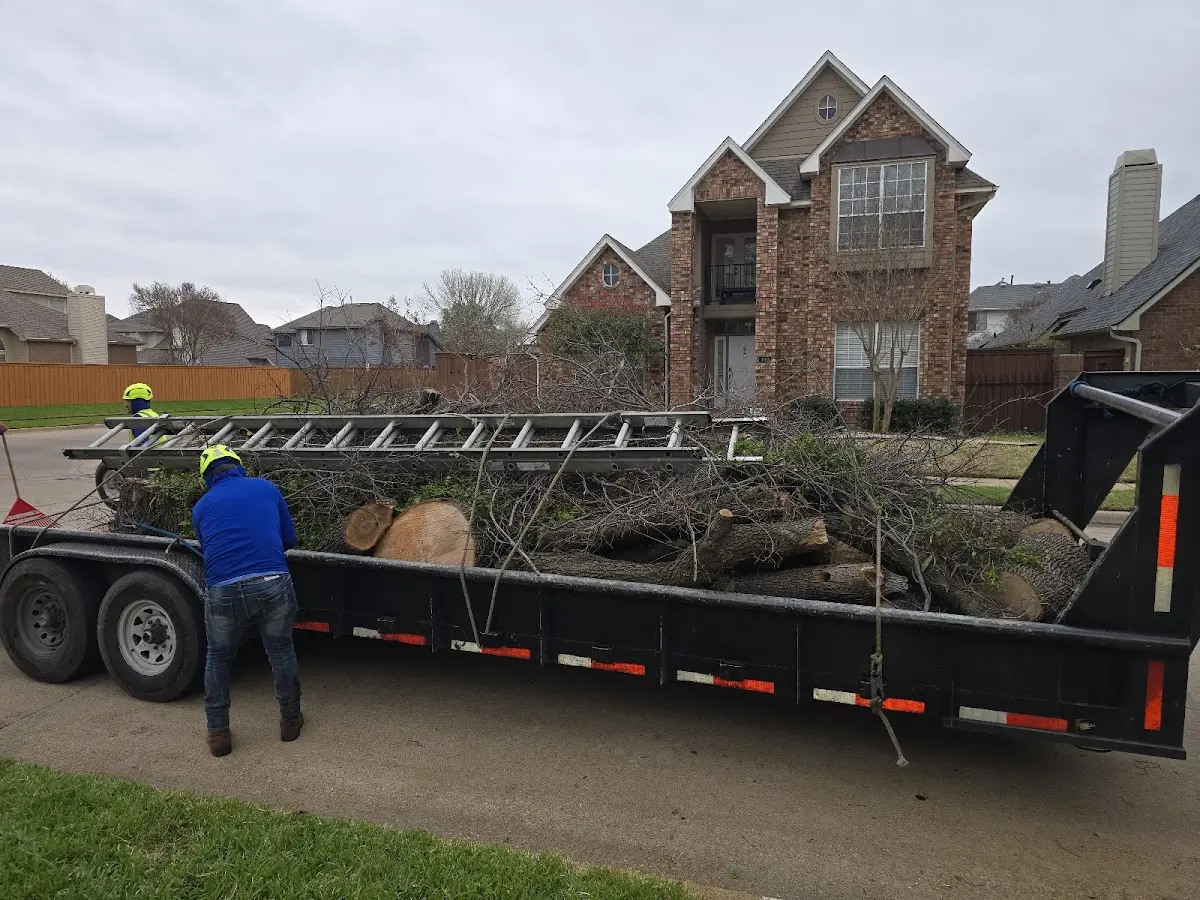 Expert Tree Removal with proper safety equipment in Calhoun